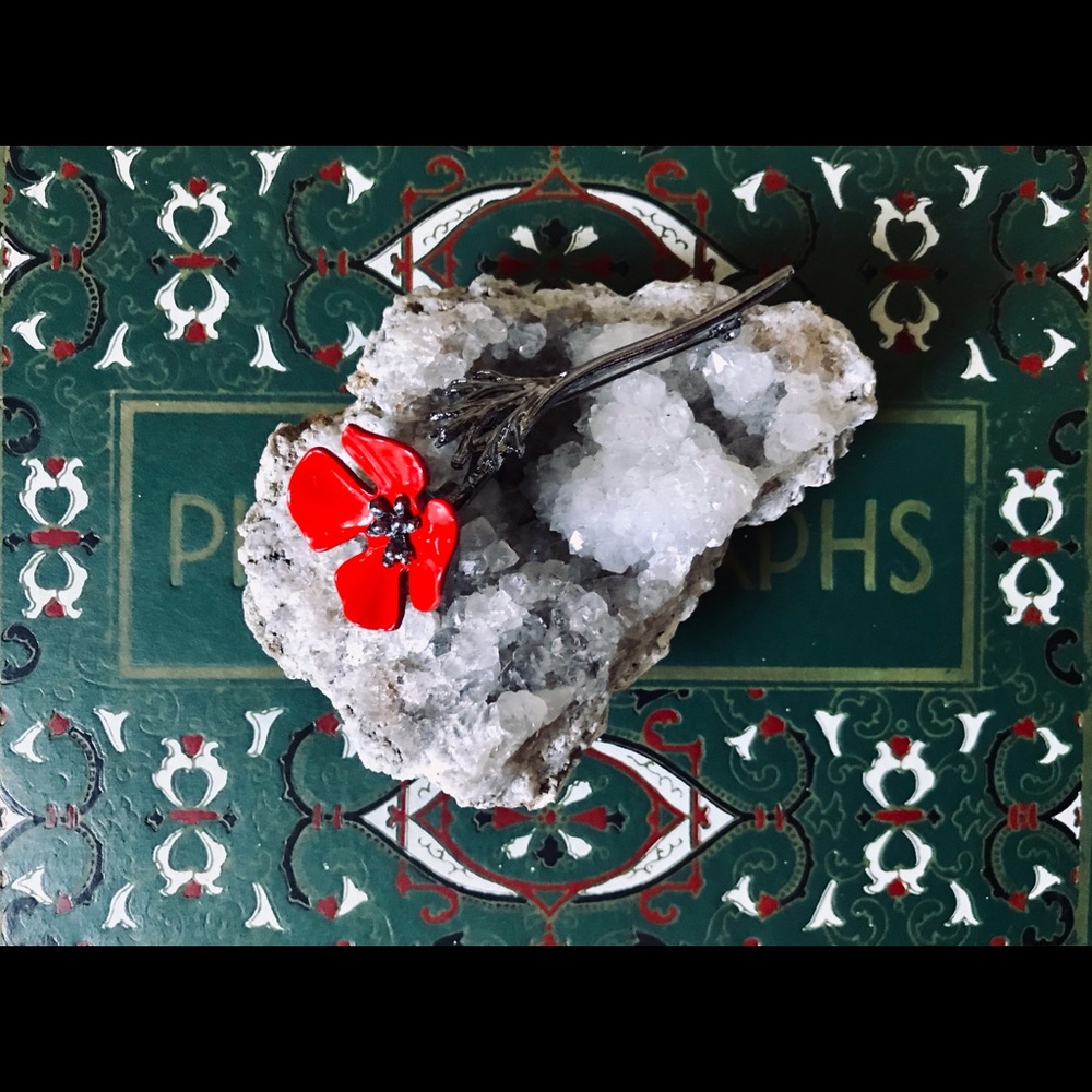 NWT! Lovely Red Stem & Flower Brooch! 🌺✨